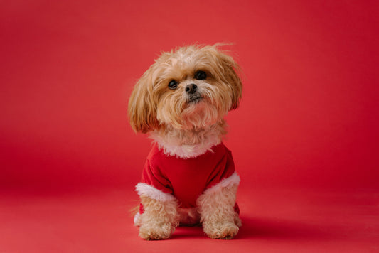The Ultimate Guide to Choosing the Best Products for Your Pet - furevermama