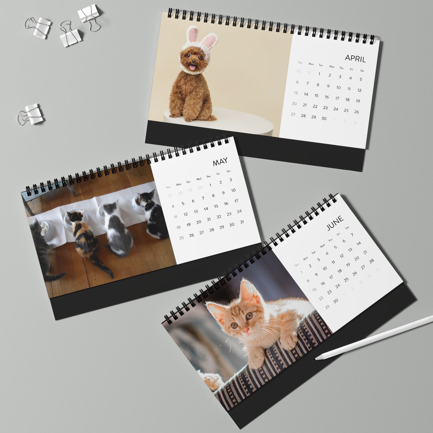 Custom Pet Photo Desktop Calendar - furevermama