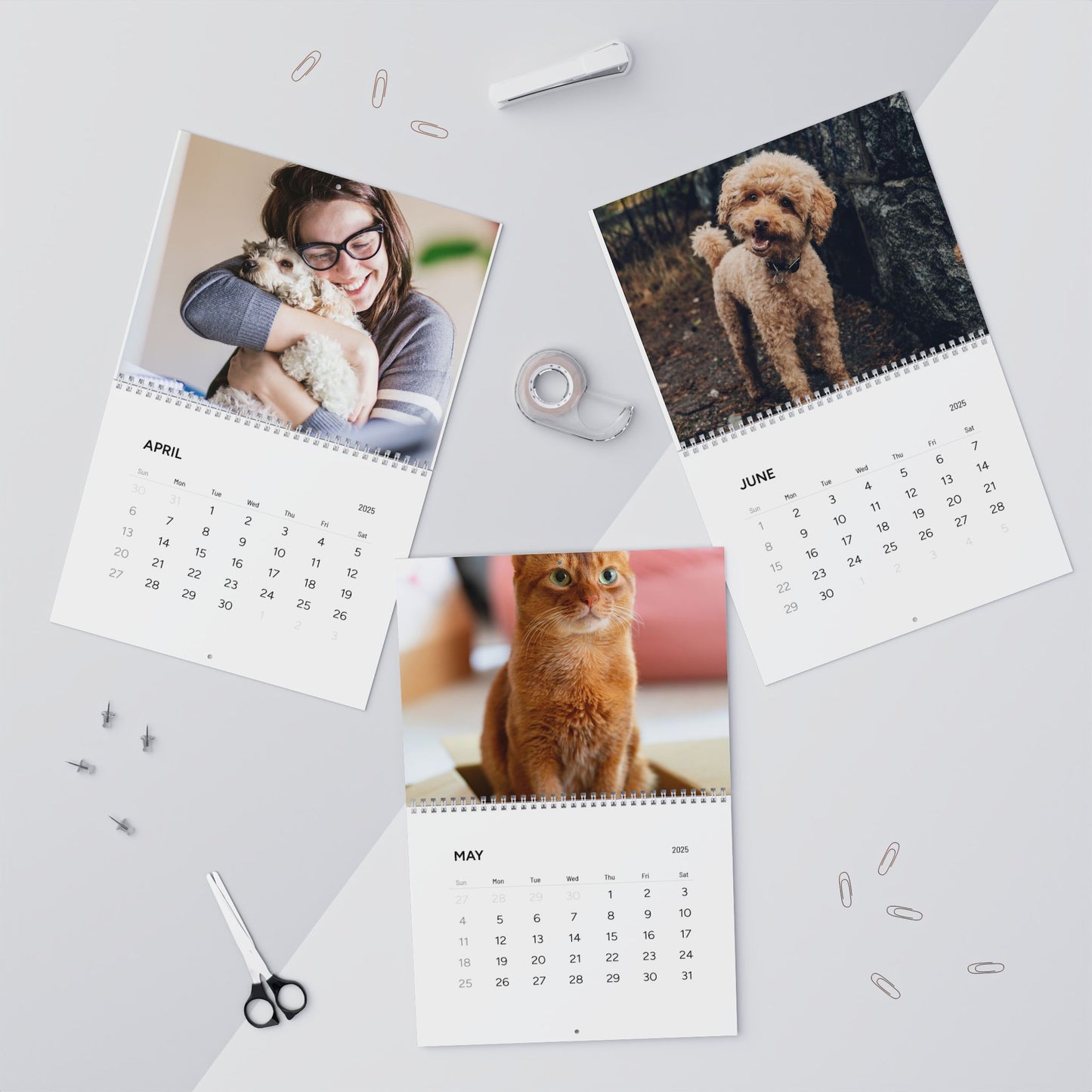 Custom Pet Photo Family Photo Wall Calendar - furevermama