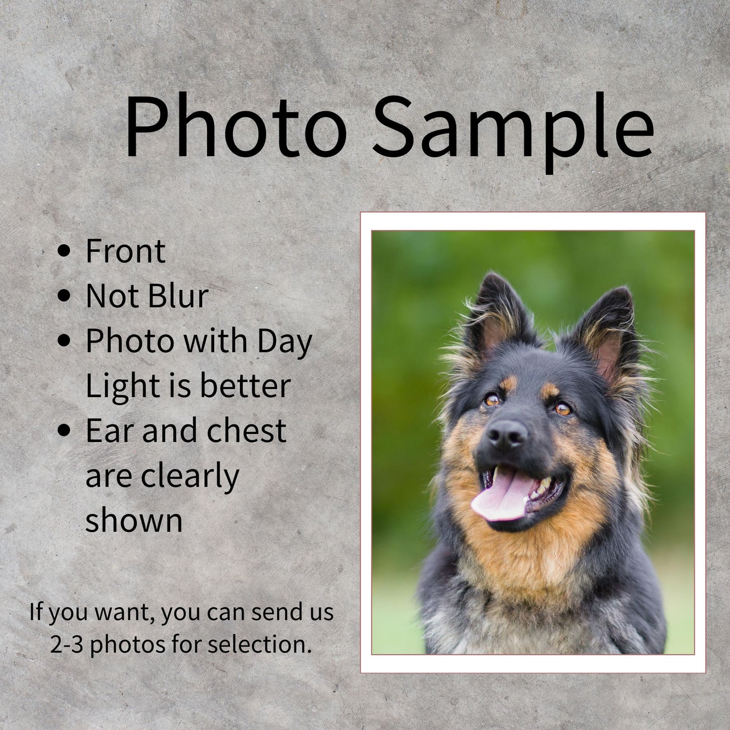 Custom Pet Photo Portrait Velveteen Plush Blanket, Black and White Dot Blanket - furevermama