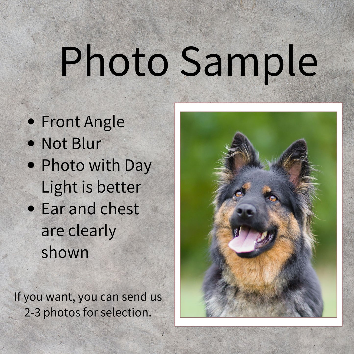 Custom Pet Photo Name Blue & Red Checked Velveteen Plush Blanket - furevermama
