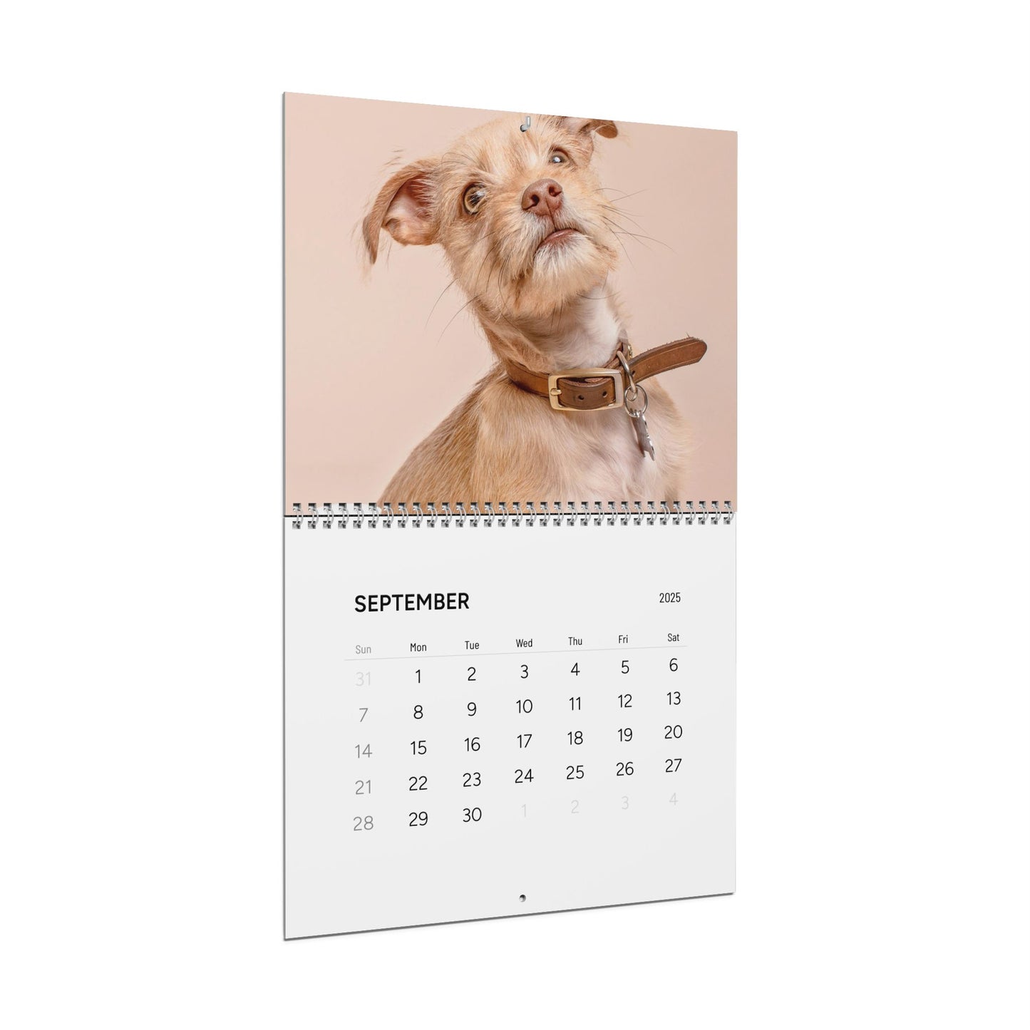 Custom Pet Photo Family Photo Wall Calendar - furevermama