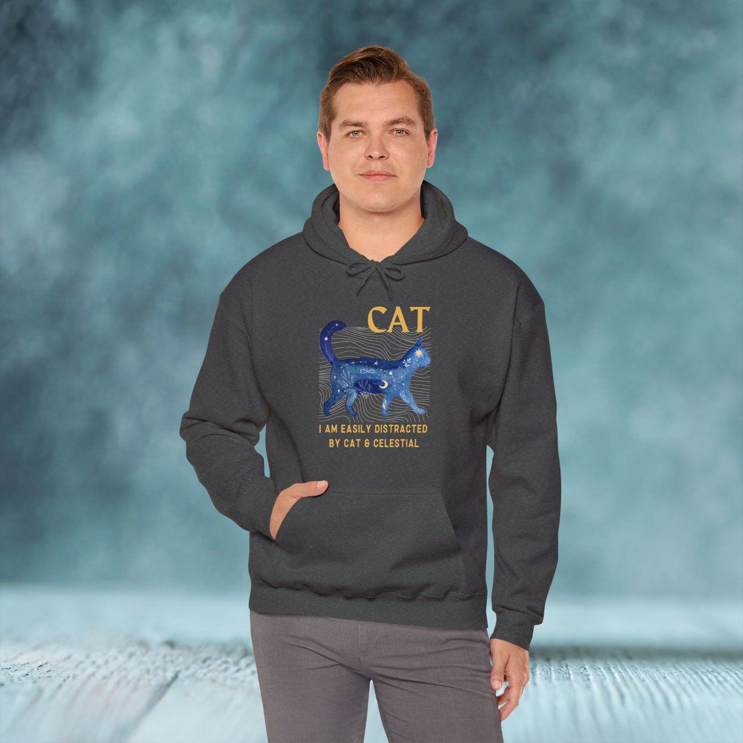 Cat and Celestial Unisex Hoodie - furevermama