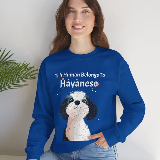 This Human Belongs To Havanese Unisex Sweatshirt - furevermama