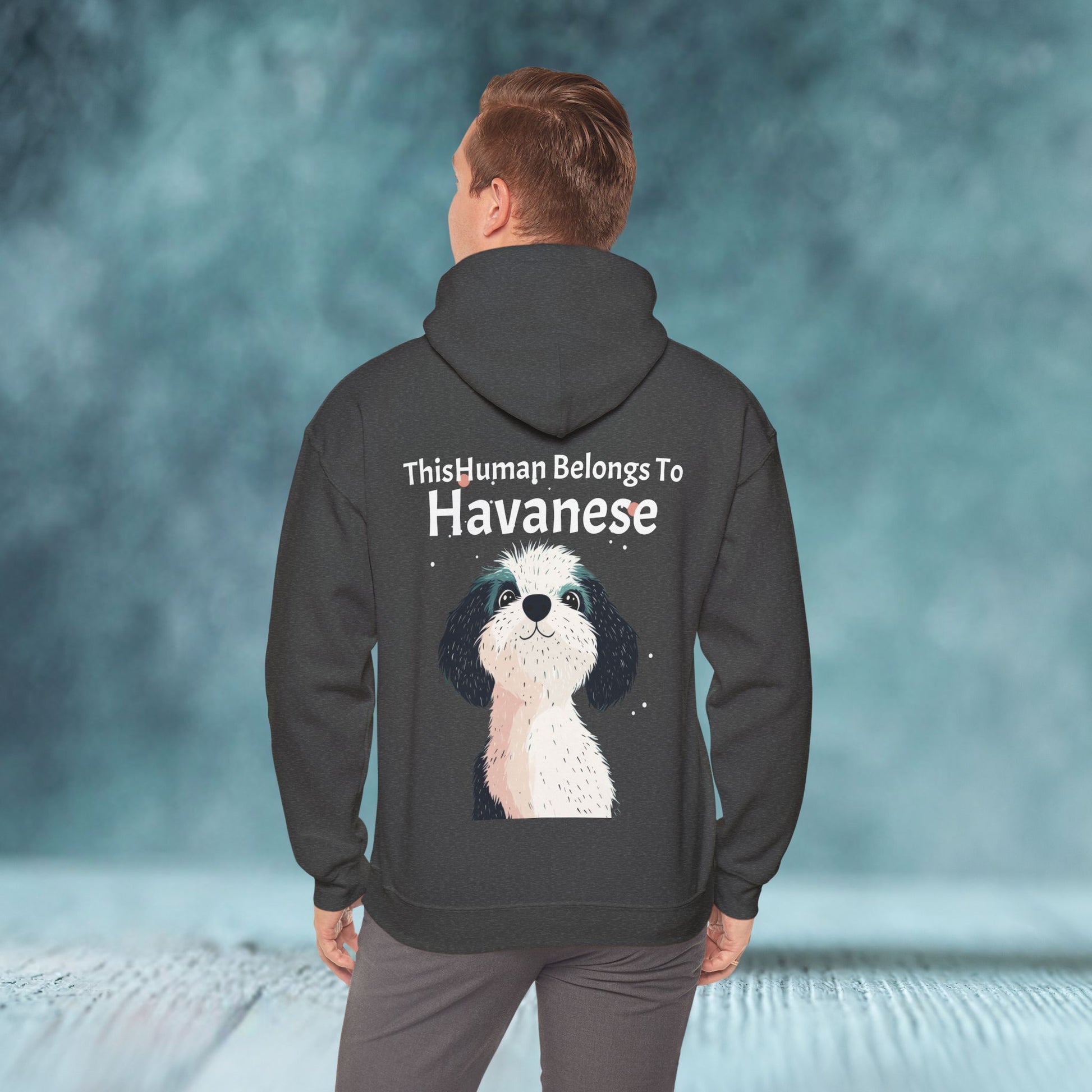 This Human Belongs To Havanese Unisex Hoodie - furevermama