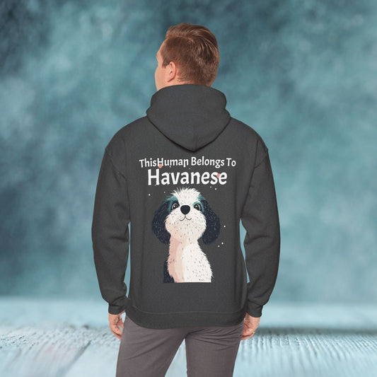 This Human Belongs To Havanese Unisex Hoodie - furevermama