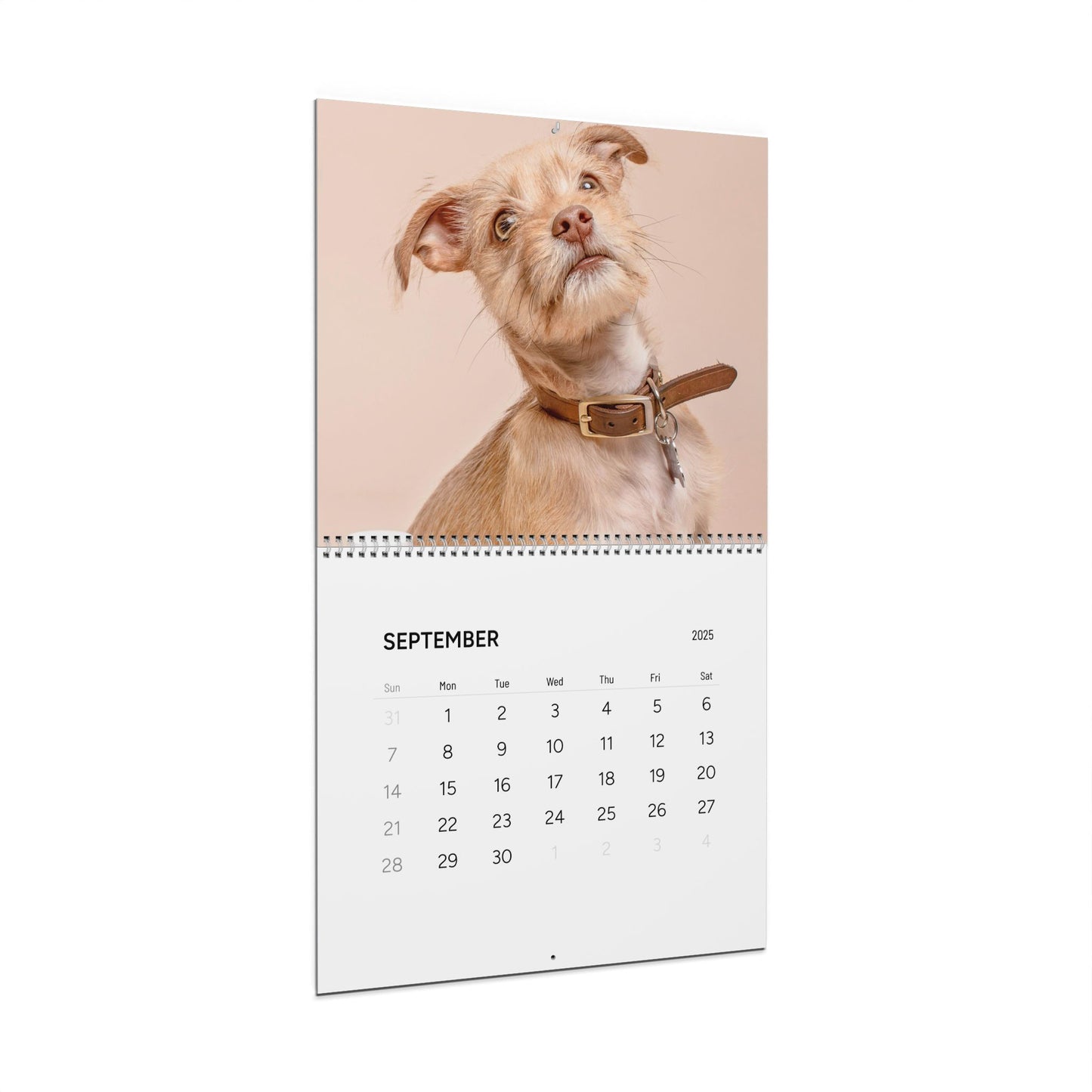 Custom Pet Photo Family Photo Wall Calendar - furevermama