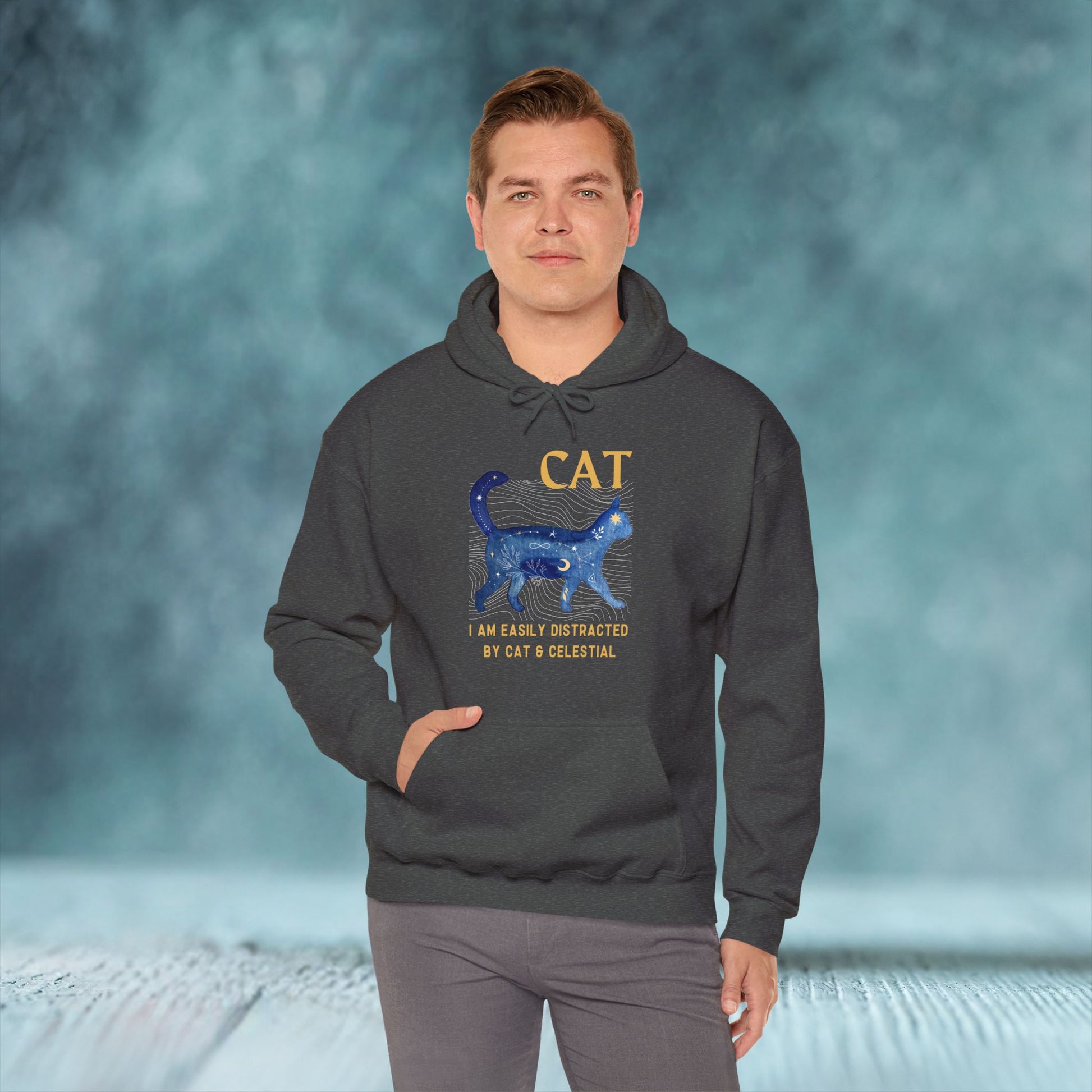Cat and Celestial Unisex Hoodie - furevermama