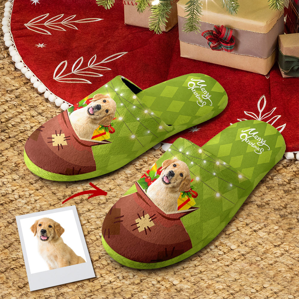 Green and brown slippers with a dog design on a carpeted floor.