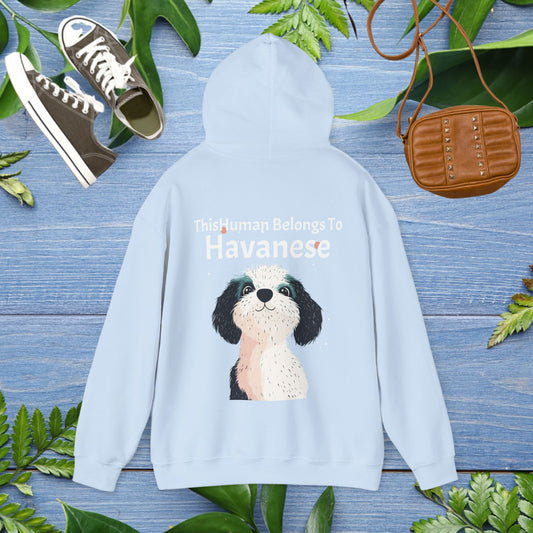 This Human Belongs To Havanese Unisex Hoodie - furevermama