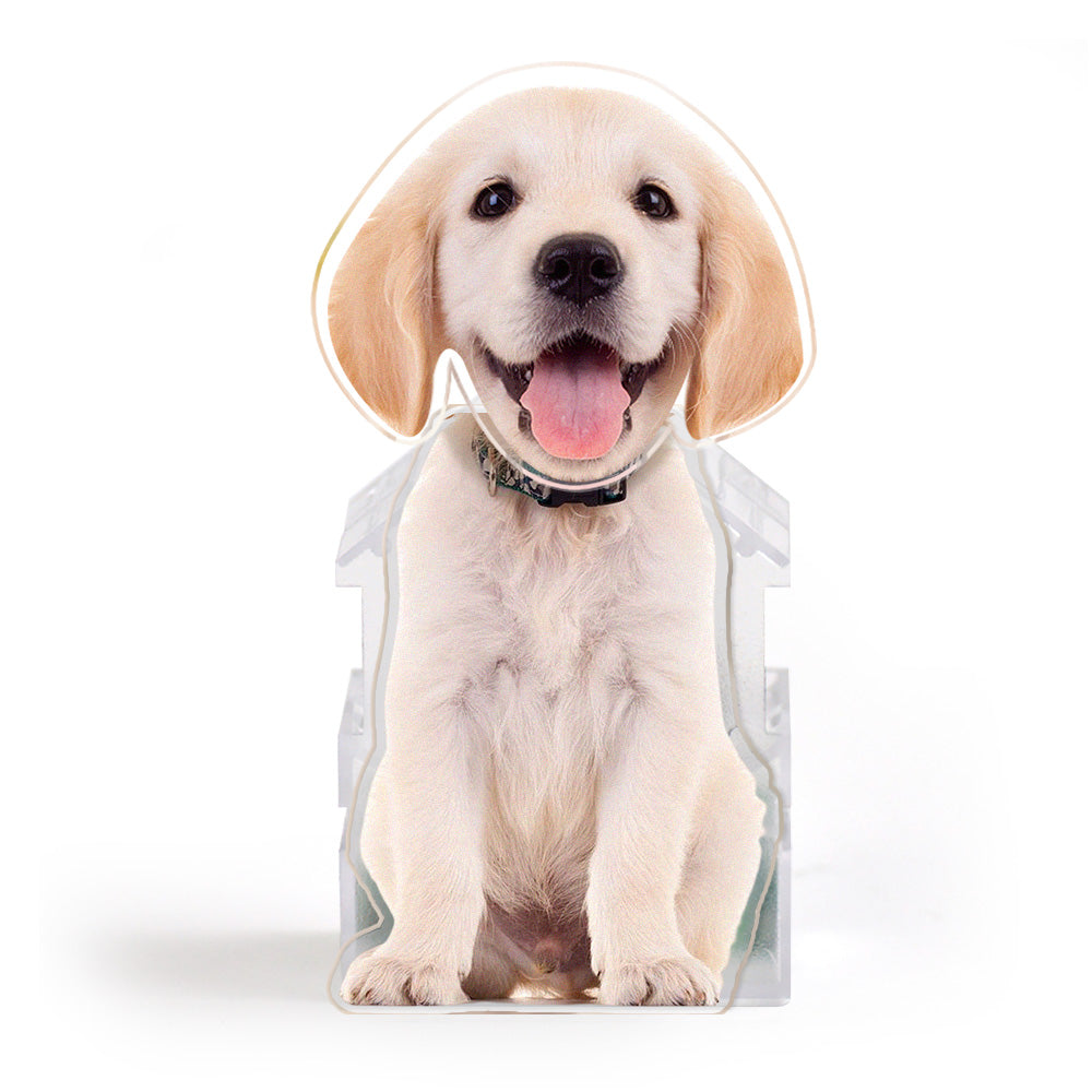 Custom Photo Automatic Shaking Head Car Or Home Desktop Decoration