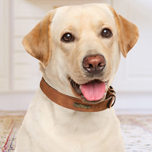 Custom Engraved Leather Dog Collar - furevermama