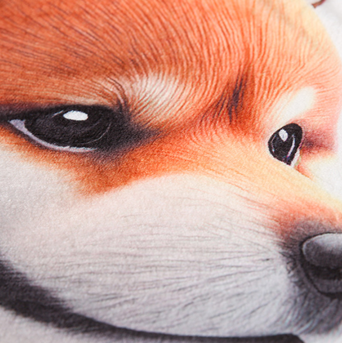 Close-up of a dog's face with a focus on its eyes and nose.